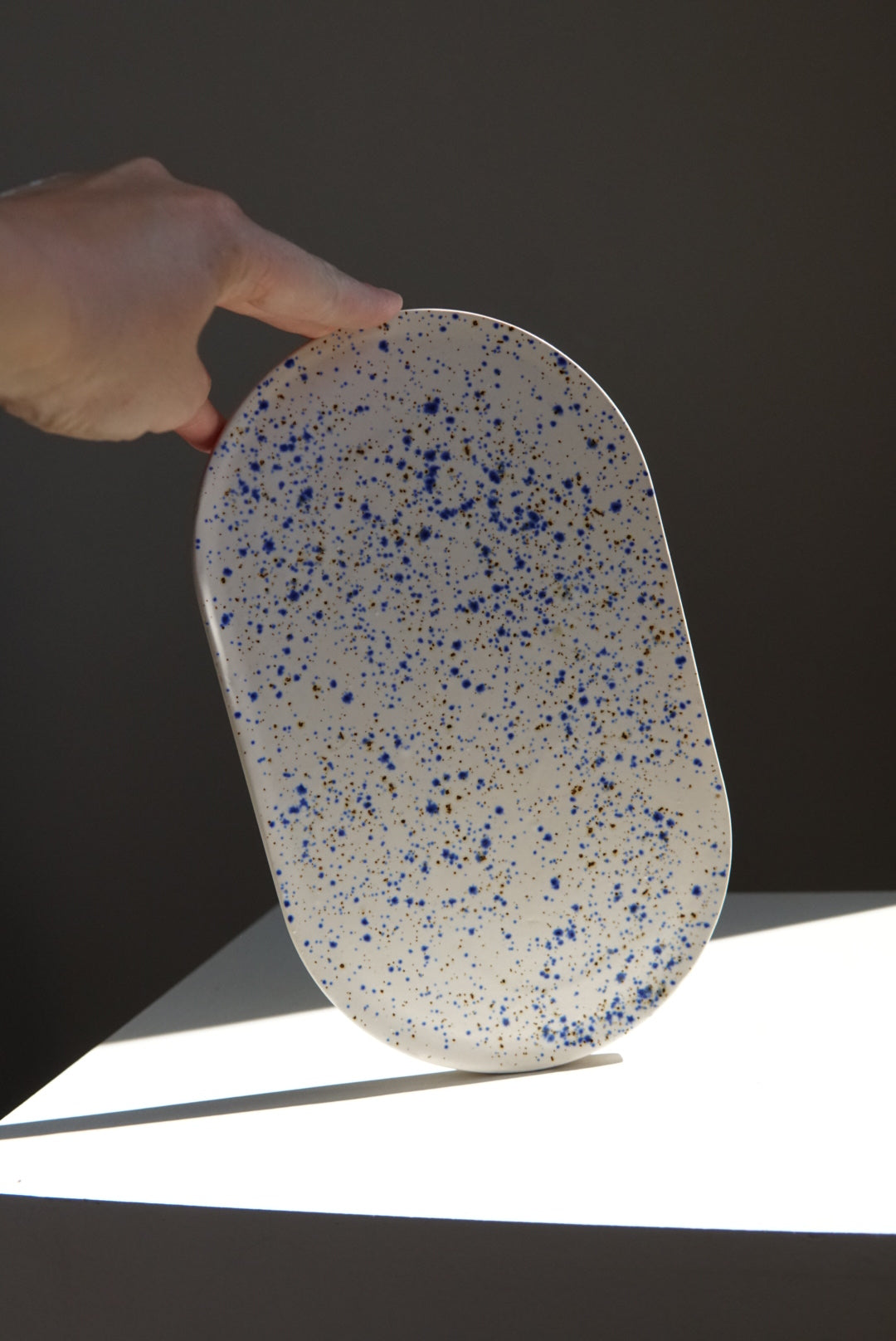 SECONDS Speckled platter blue white
