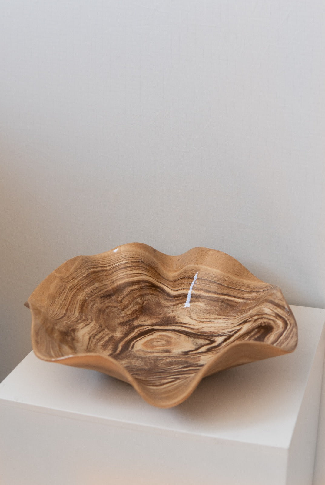 Brown Beige Earthenware Bowl #4